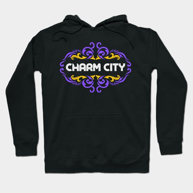 CHARM CITY COOL COLORFUL FRAME DESIGN Hoodie by The C.O.B. Store